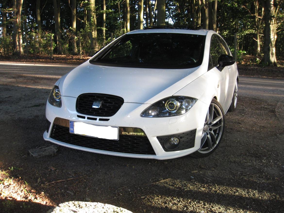 Seat Leon cupra R billede 28