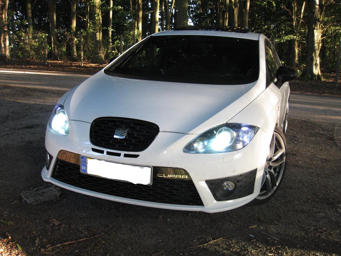 Seat Leon cupra R billede 29