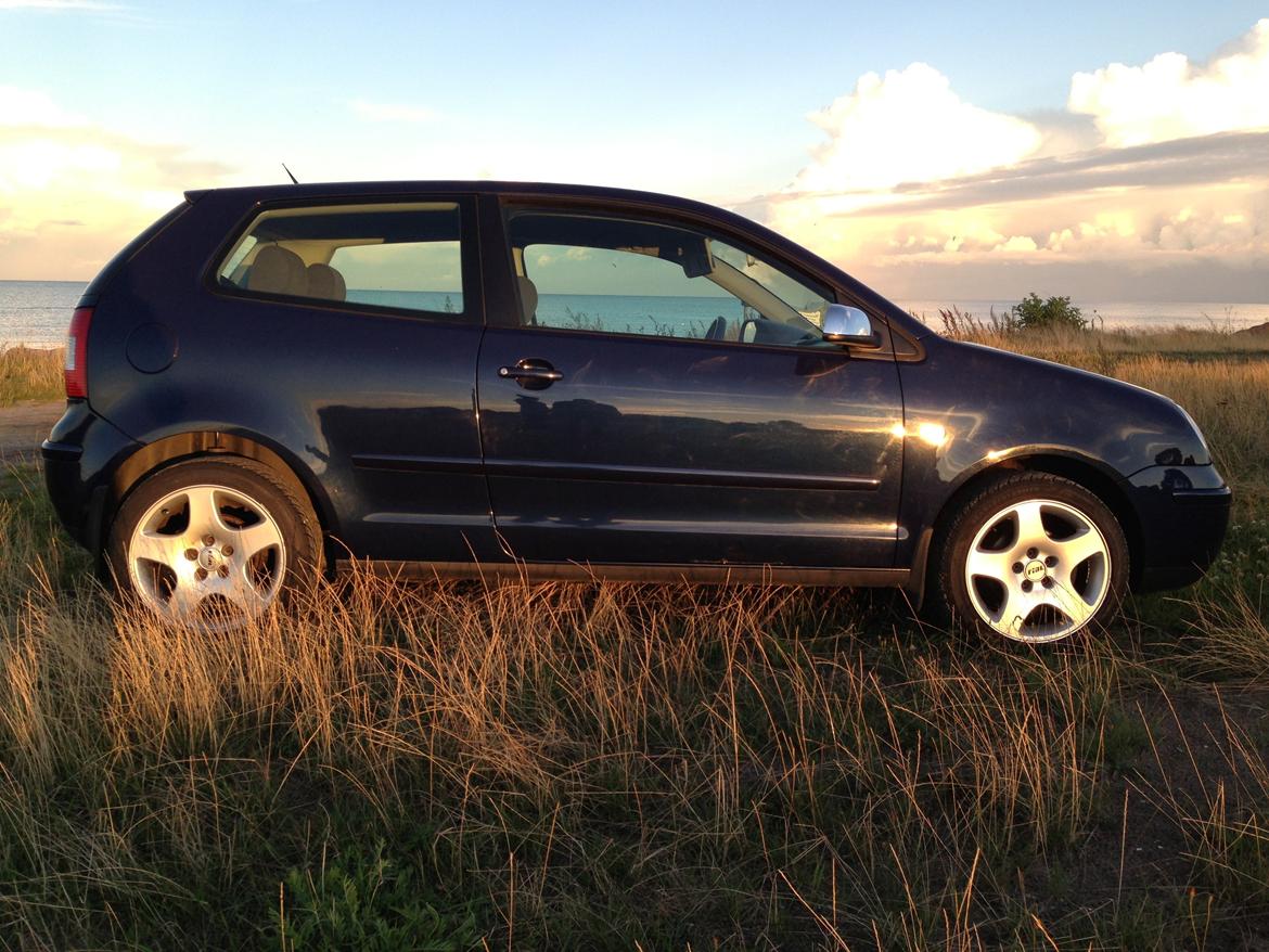 VW polo 9n billede 2