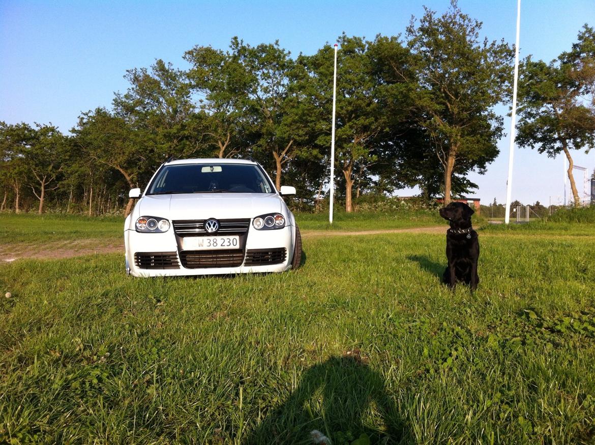 VW Golf 4 *Solgt*  billede 2