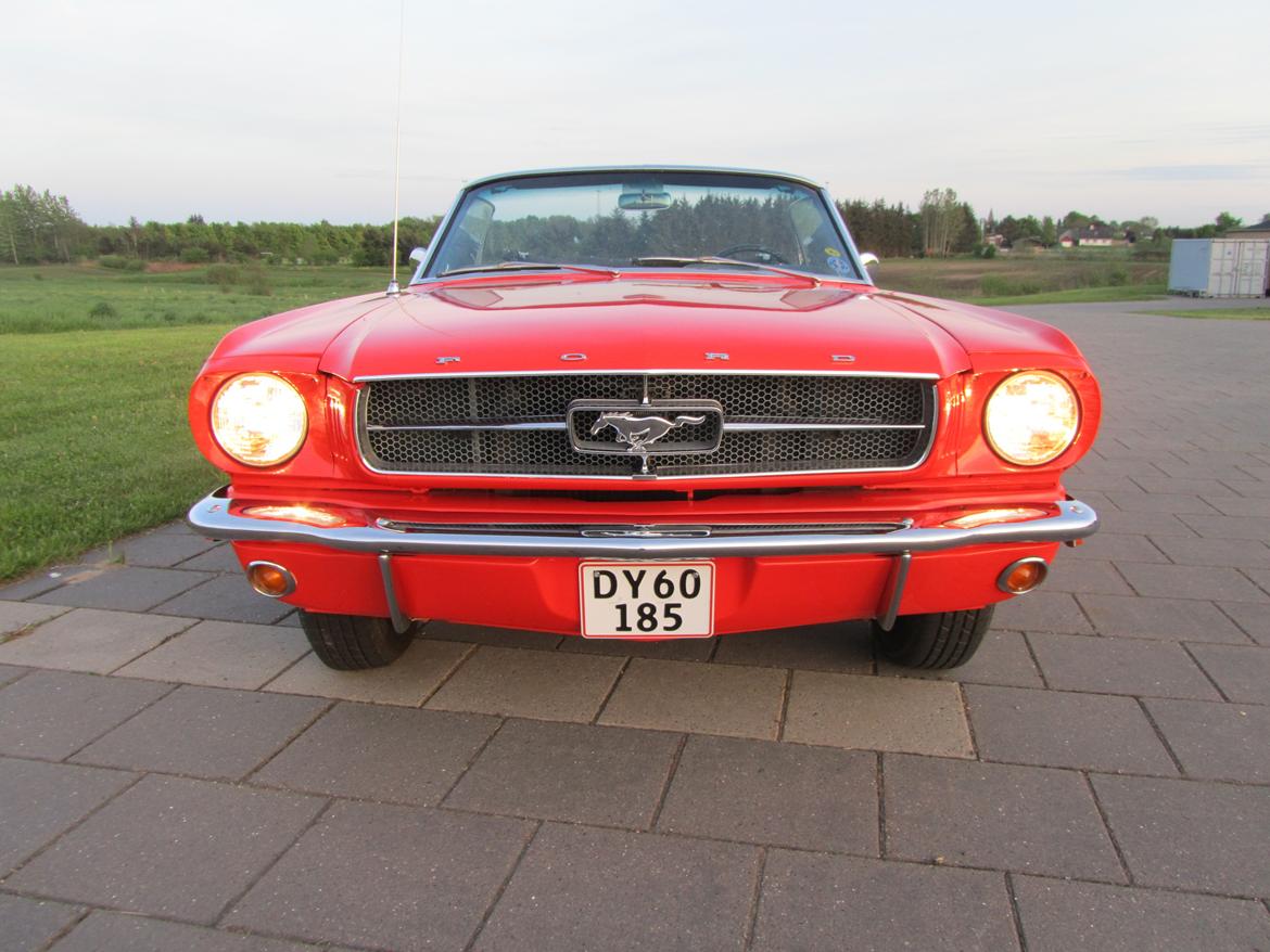 Ford Mustang billede 3