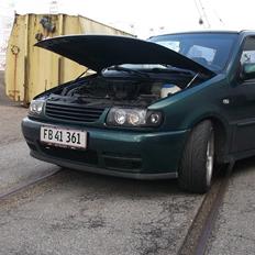 VW polo 6n 1,4 16v