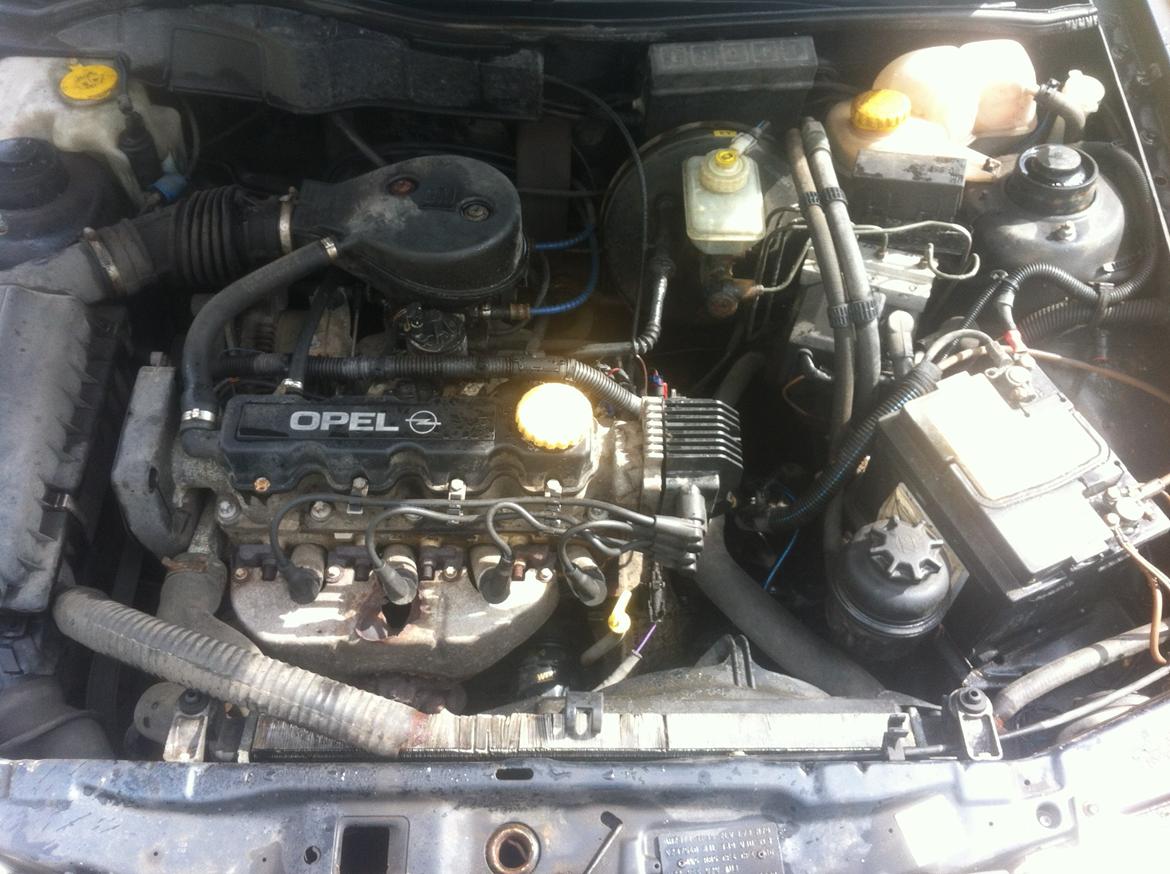 Opel astra f st.car billede 1