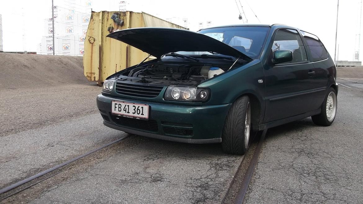 VW polo 6n 1,4 16v billede 1