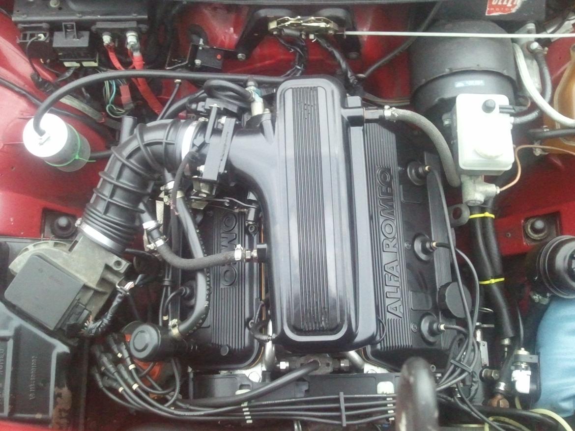 Alfa Romeo GTV6 "La Bestia Rossa" - Endnu et af den fine Busso... billede 12