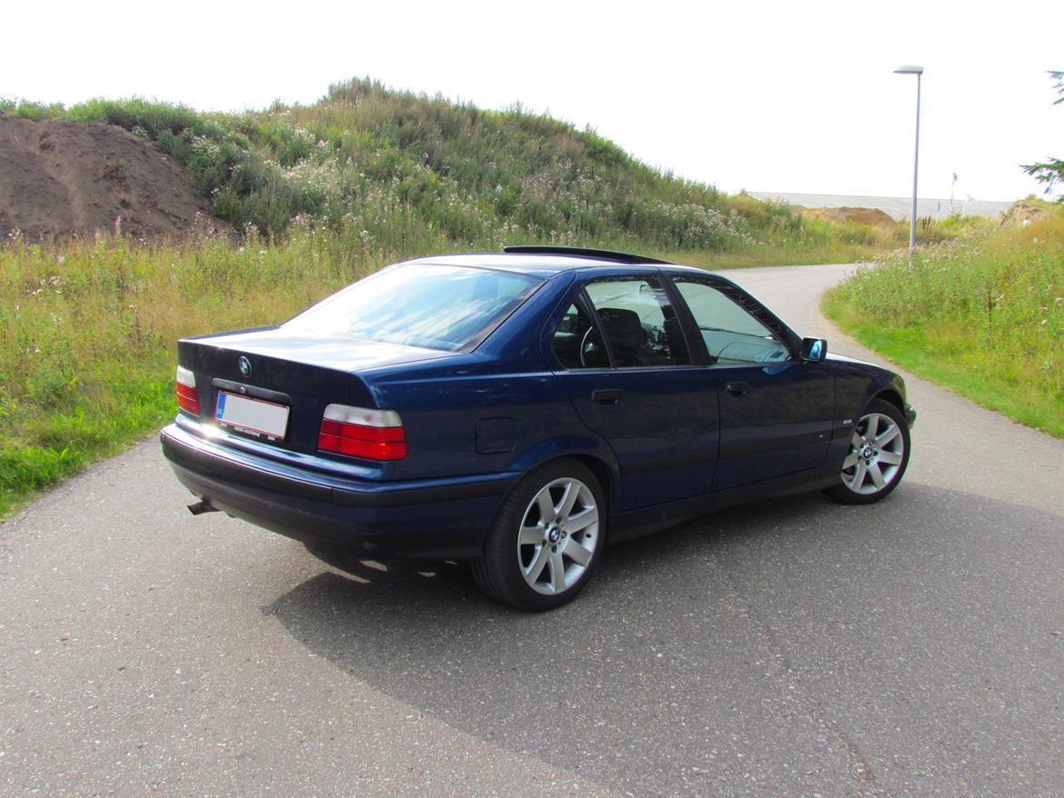 BMW E36 316i Limousine billede 12