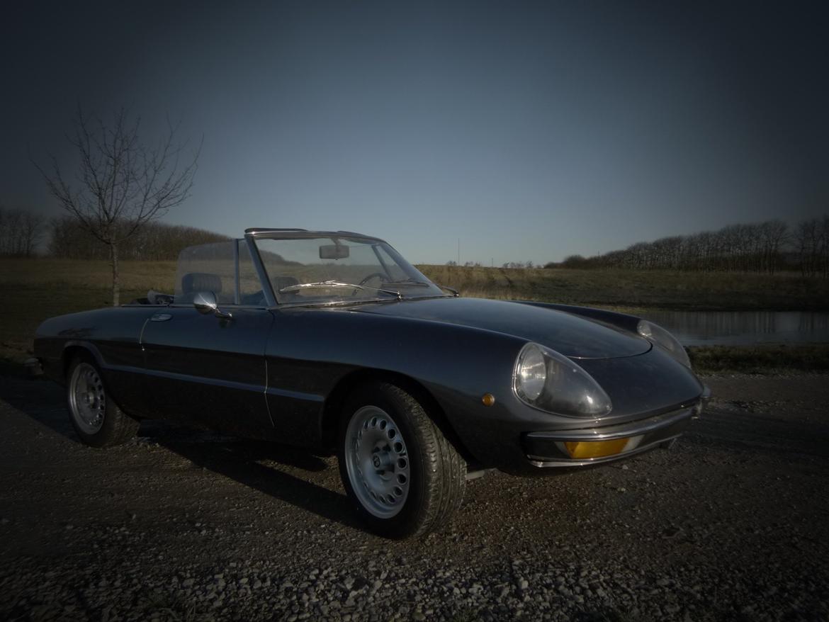 Alfa Romeo Spider 1300 Junior billede 1