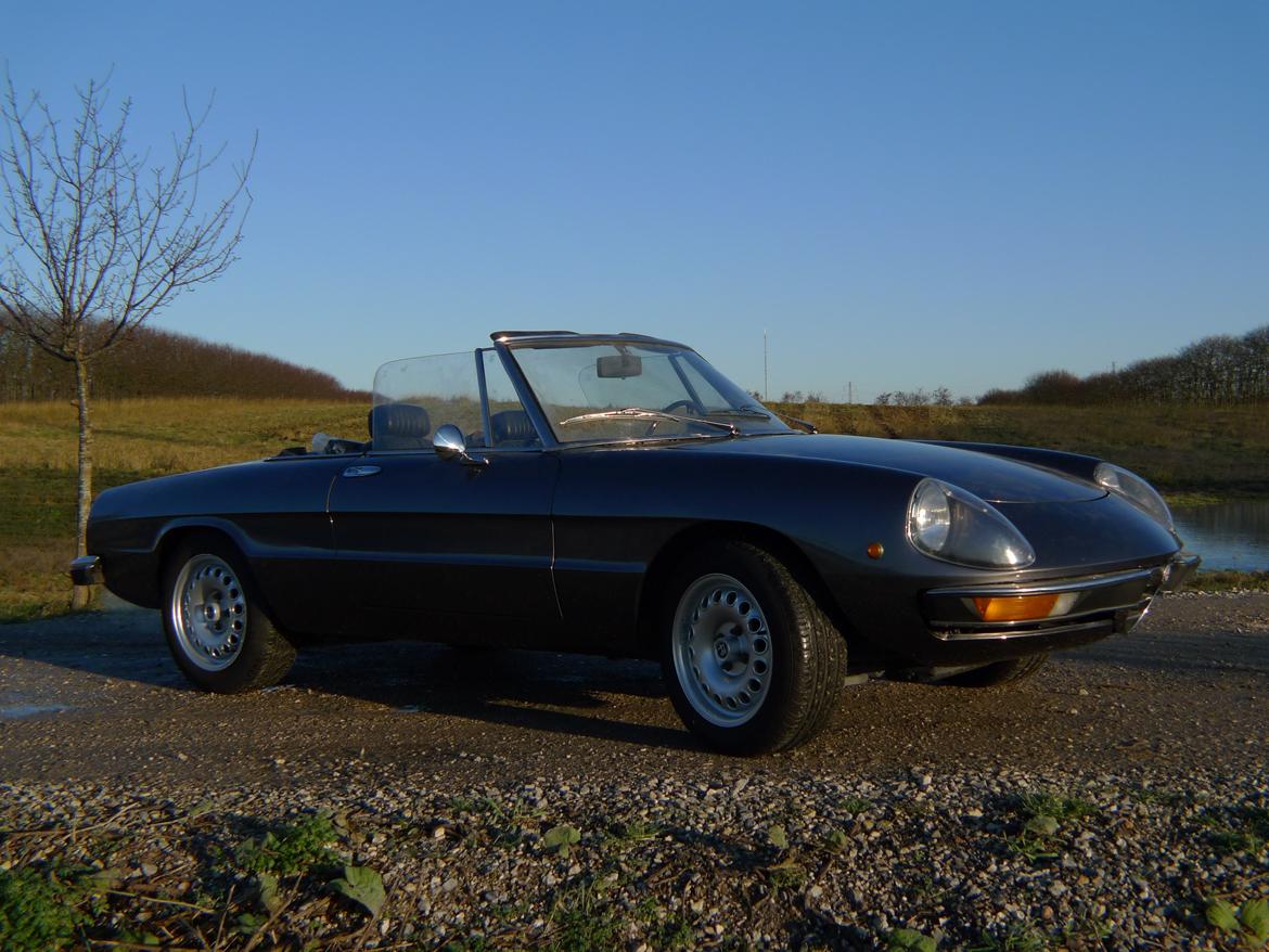 Alfa Romeo Spider 1300 Junior billede 2