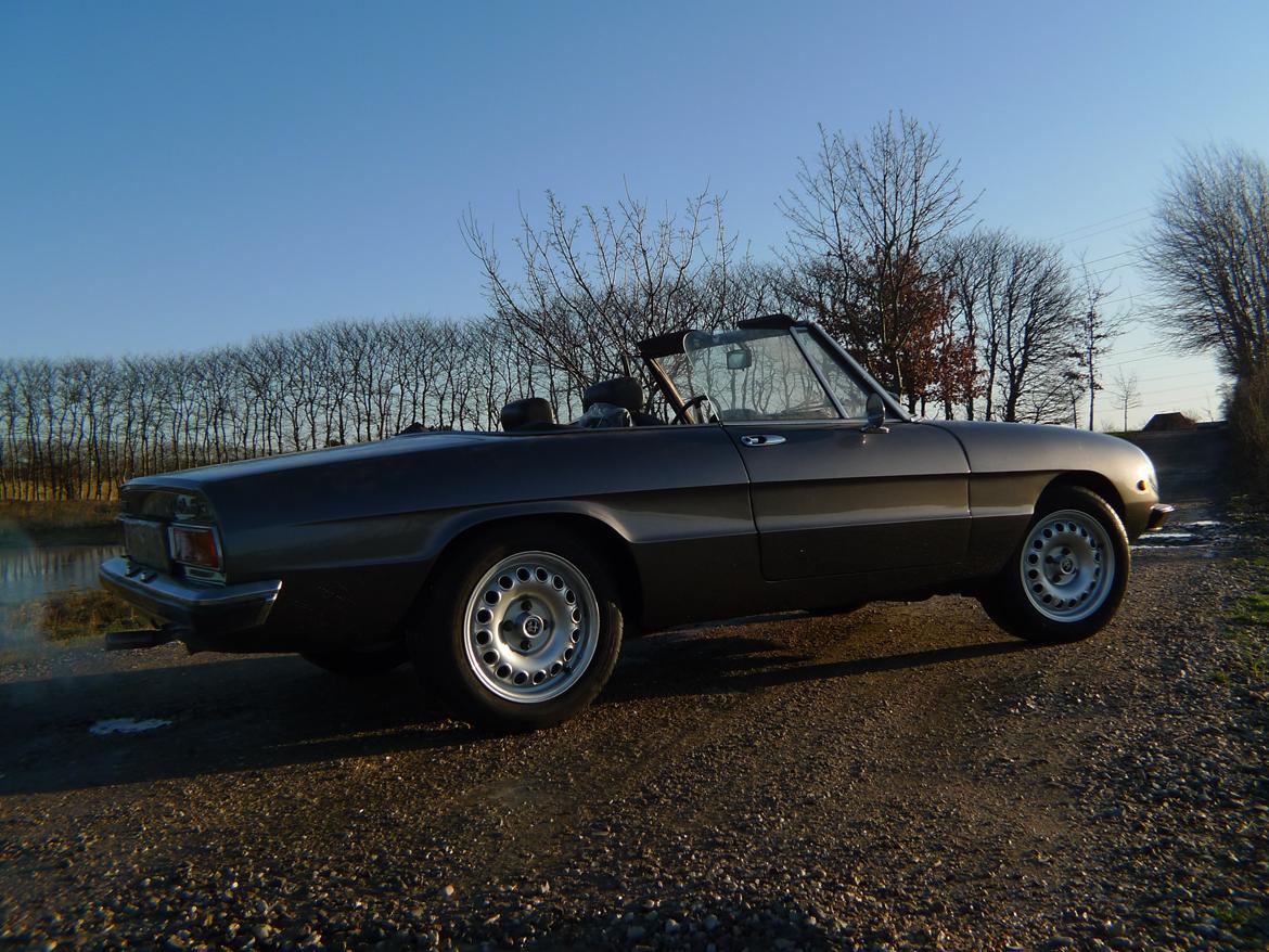 Alfa Romeo Spider 1300 Junior billede 3