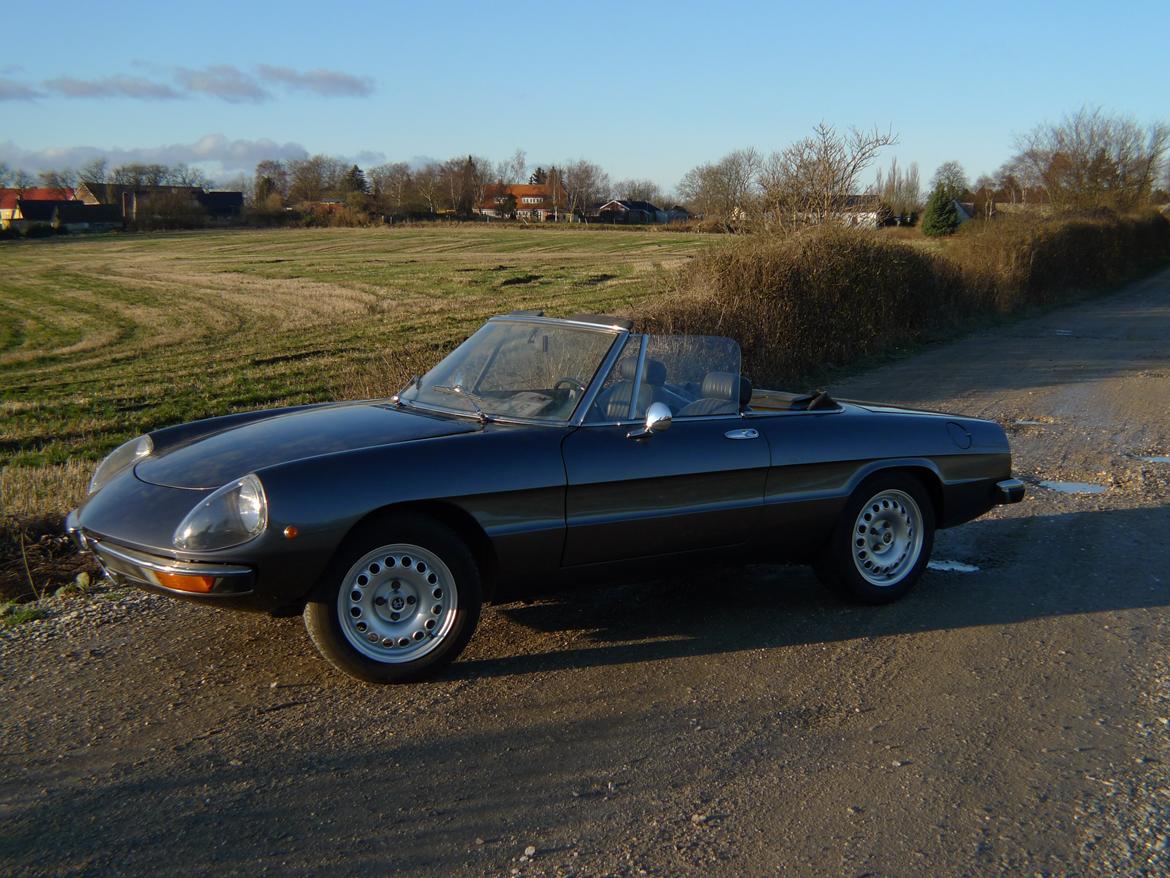 Alfa Romeo Spider 1300 Junior billede 4
