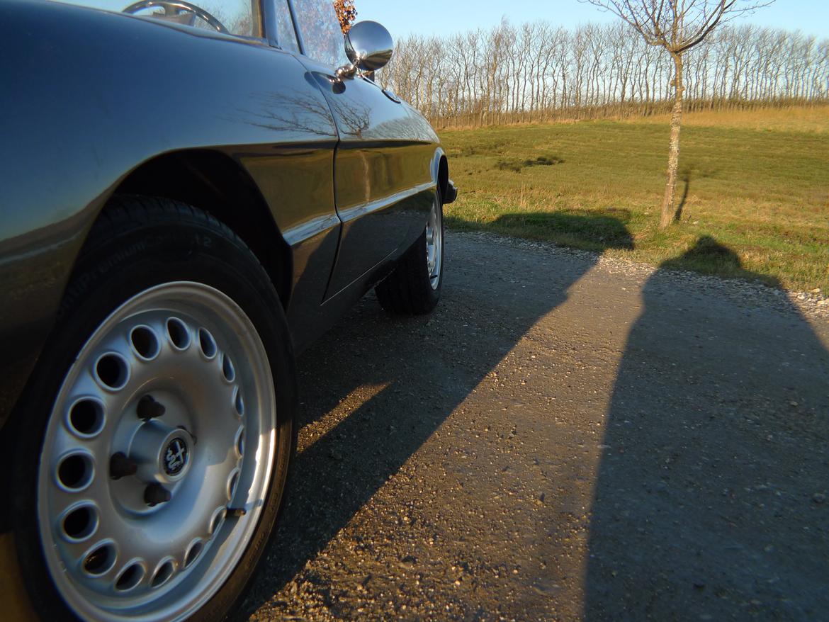 Alfa Romeo Spider 1300 Junior billede 5