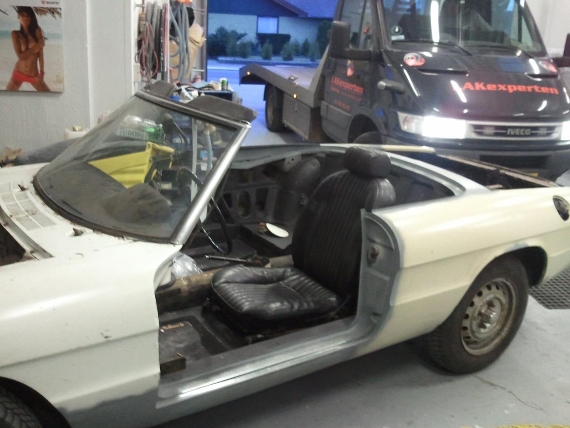 Alfa Romeo Spider 1300 Junior billede 15