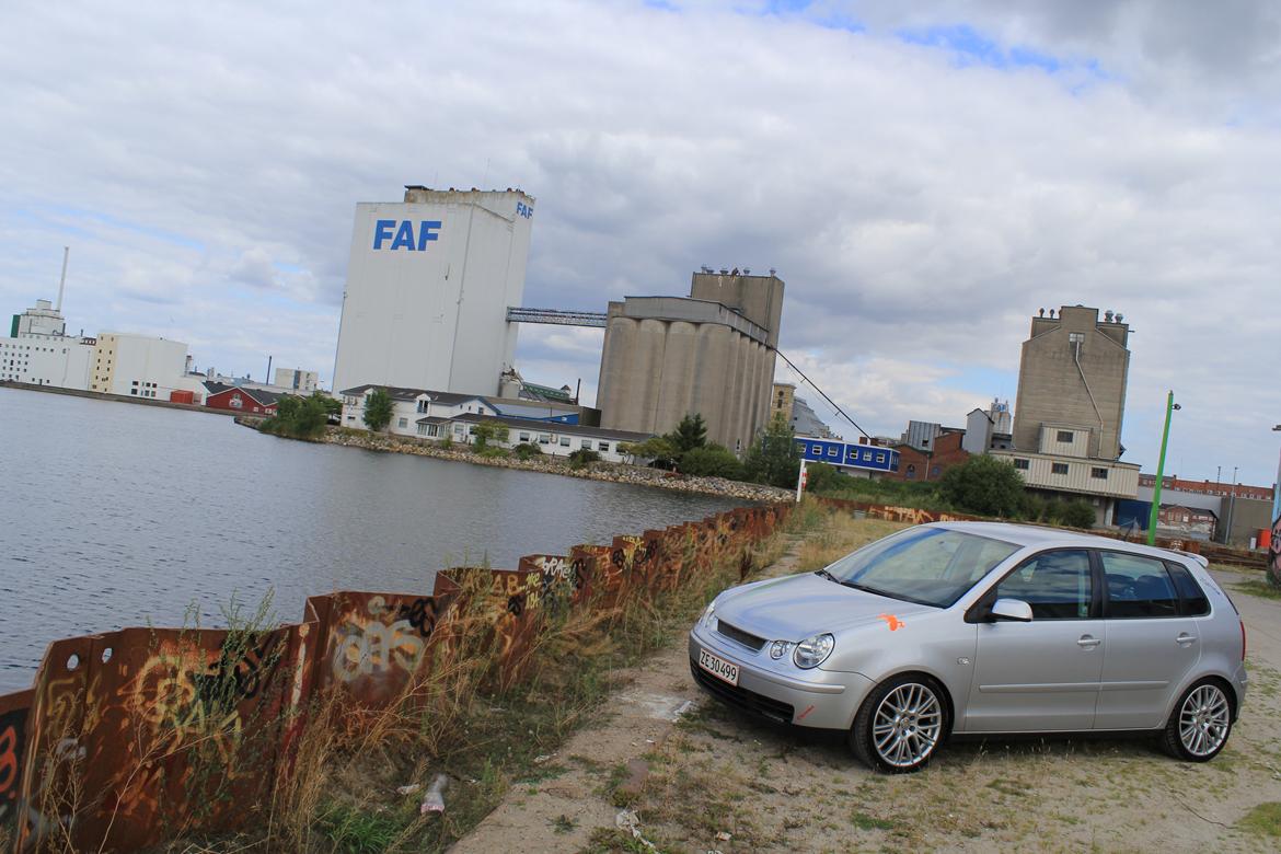 VW Polo 9n billede 12