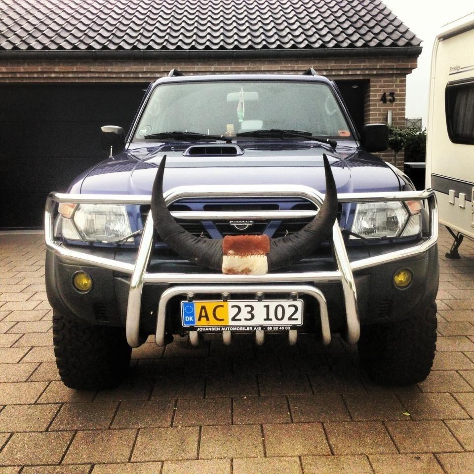 Nissan Patrol GR - Bare for sjov Australsk kohorn billede 11