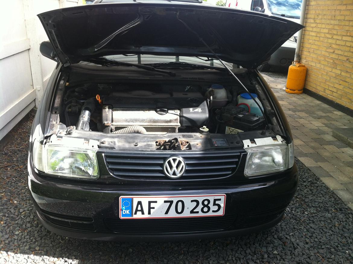 VW Polo Open Air billede 12