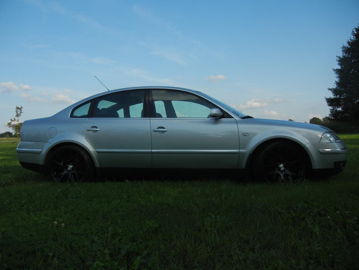 VW Passat 2,8 V6 4-Motion Highline billede 2