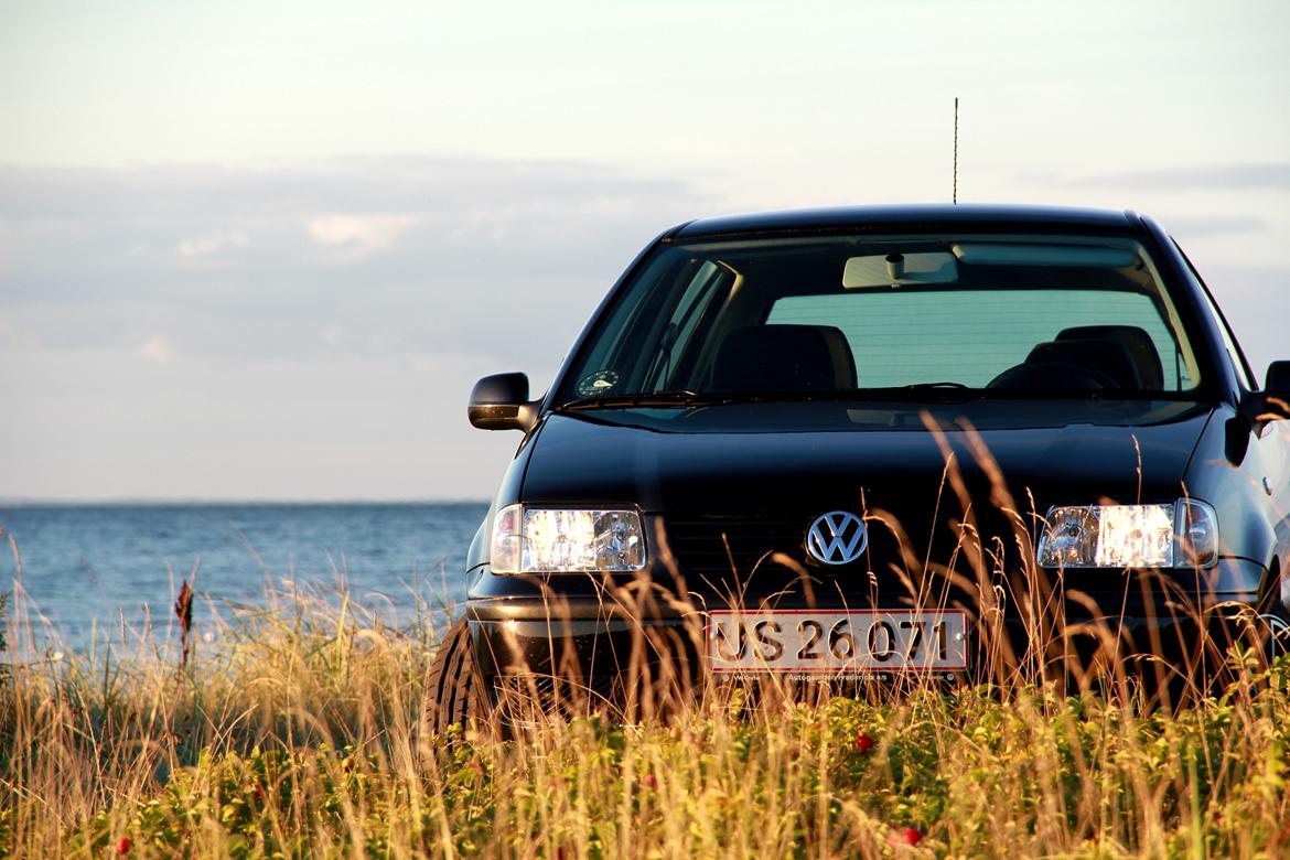 VW Polo 6n2 16V - Fotoshoot - Aug billede 1