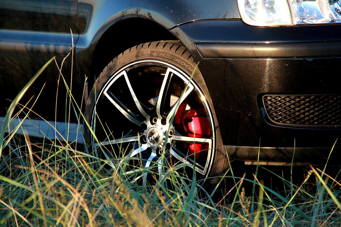 VW Polo 6n2 16V - Fotoshoot - Aug billede 4