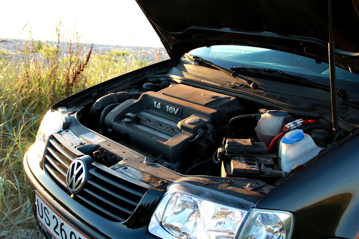 VW Polo 6n2 16V - Fotoshoot - Aug billede 5