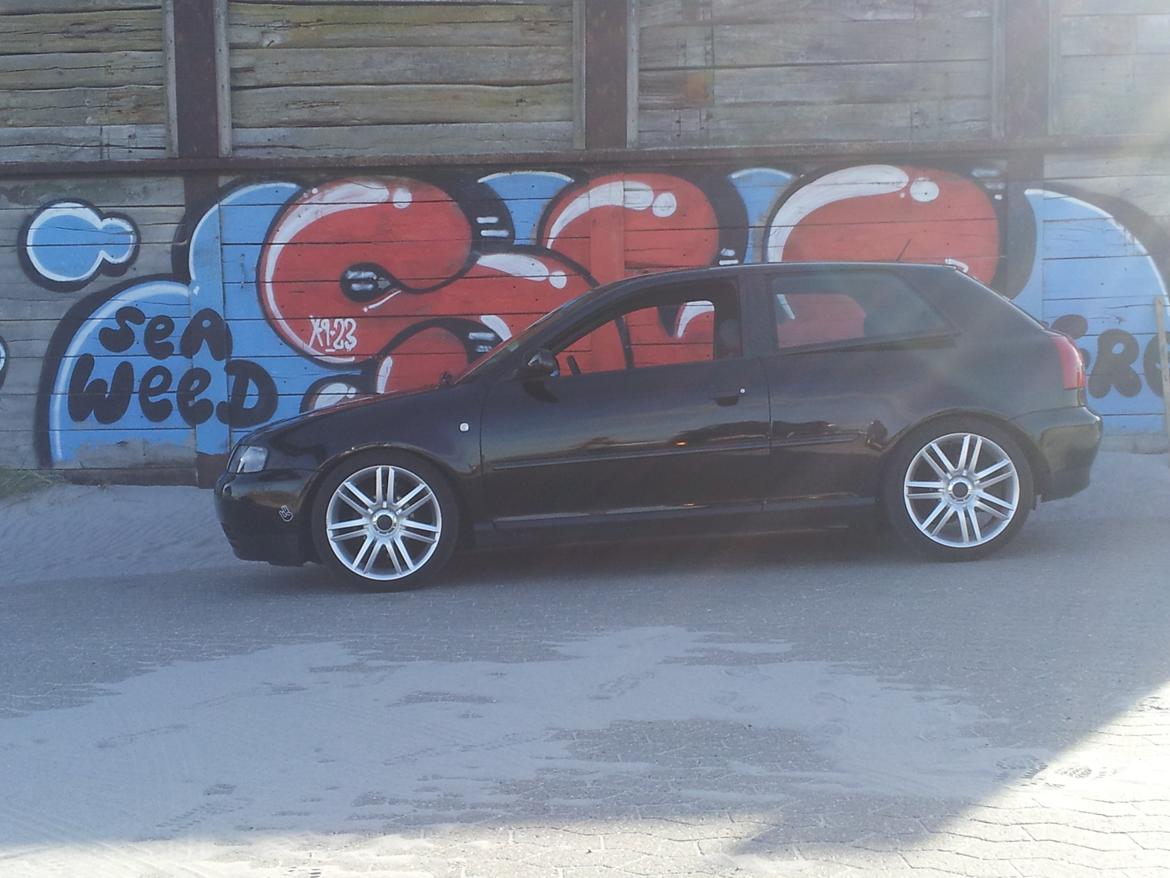 Audi A3 8L billede 15