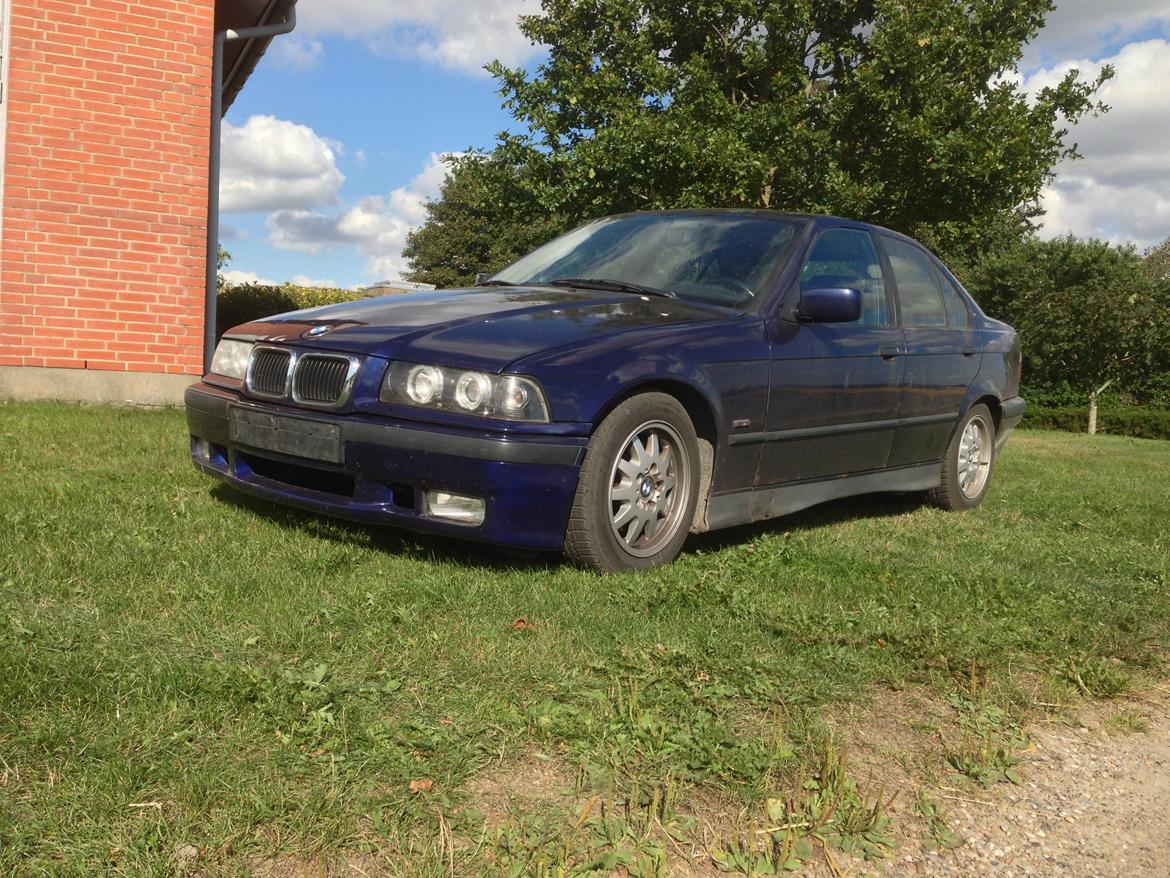 BMW 316I billede 2