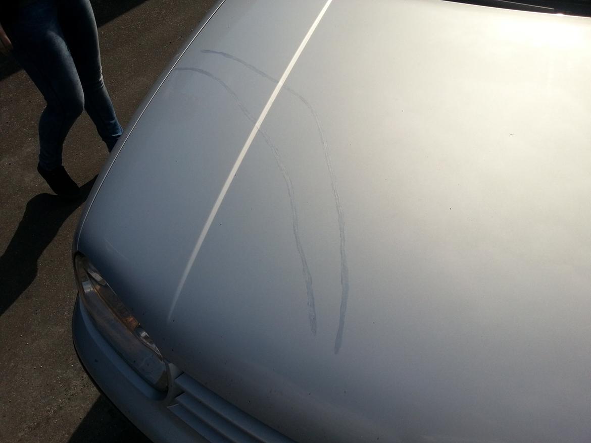 VW Golf iv  RIP billede 7