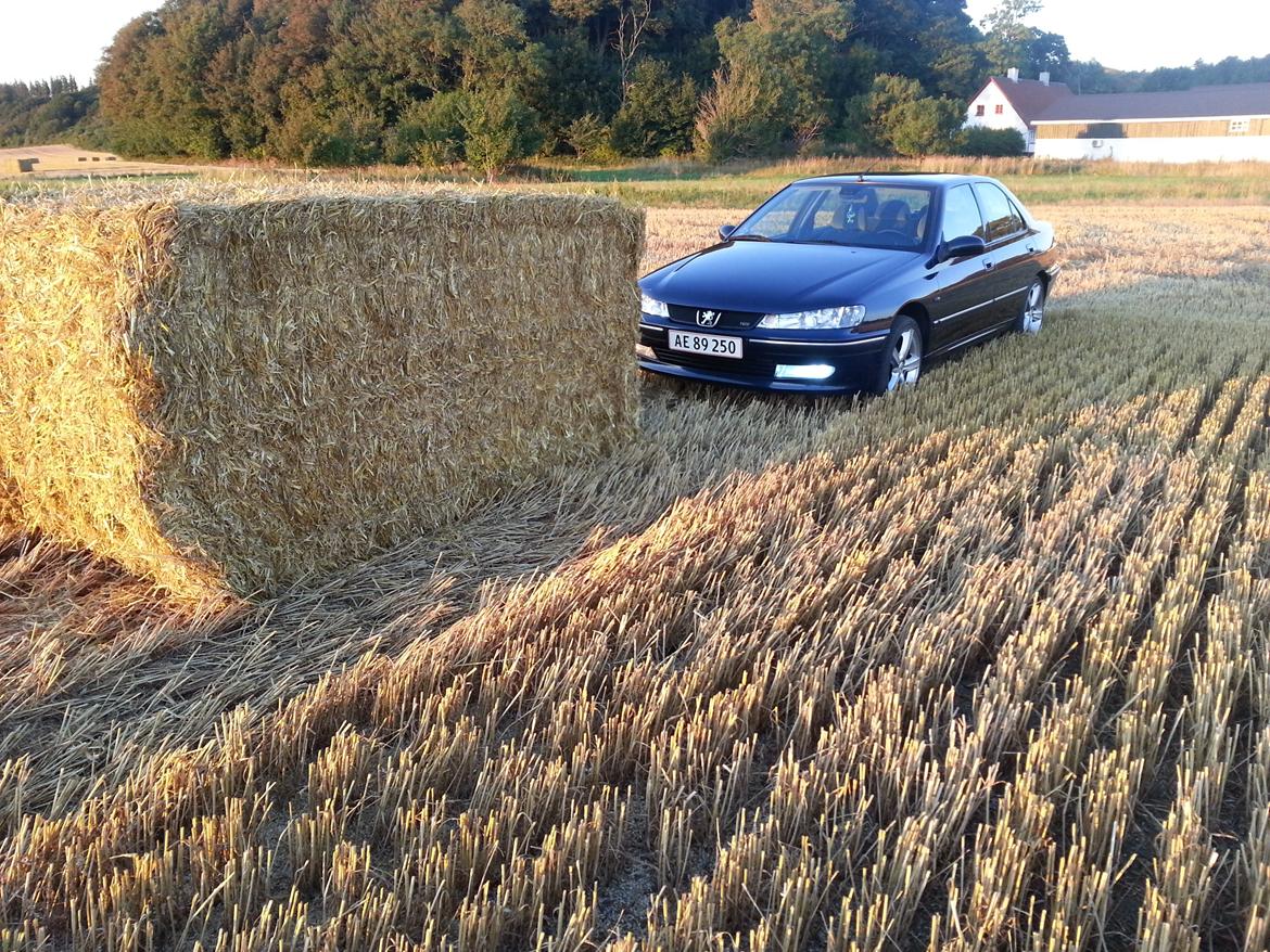 Peugeot 406 2.0 HDi ST billede 7