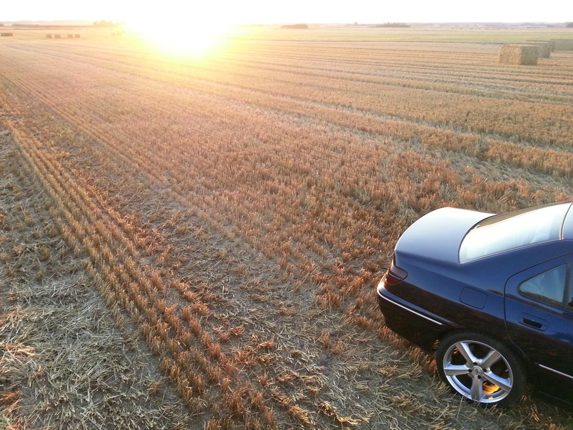 Peugeot 406 2.0 HDi ST billede 13