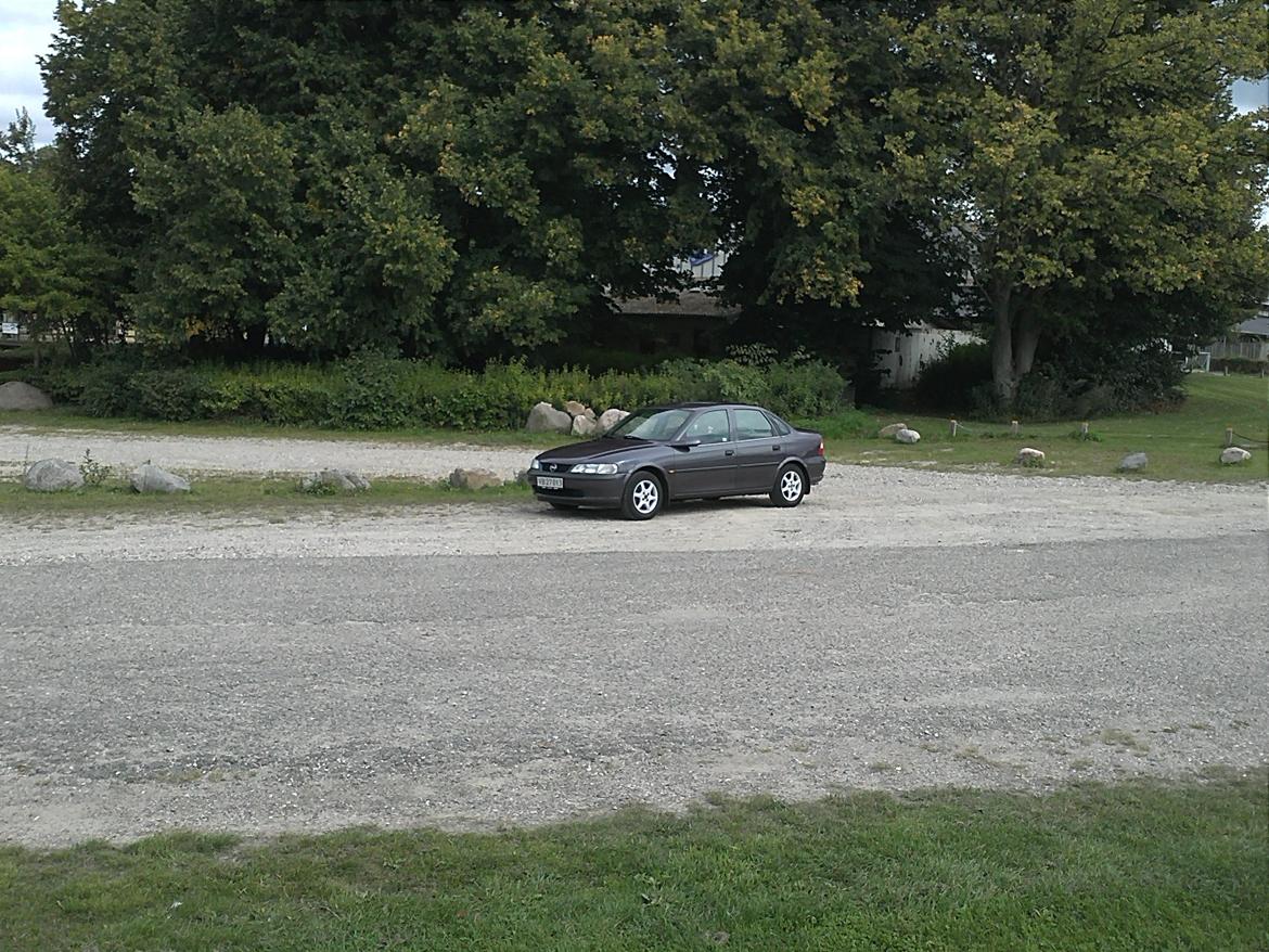 Opel Vectra billede 8