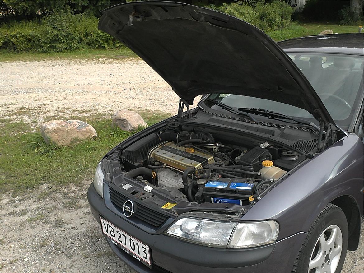 Opel Vectra billede 11