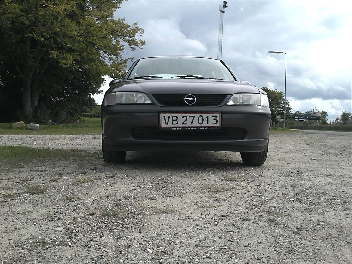 Opel Vectra billede 1