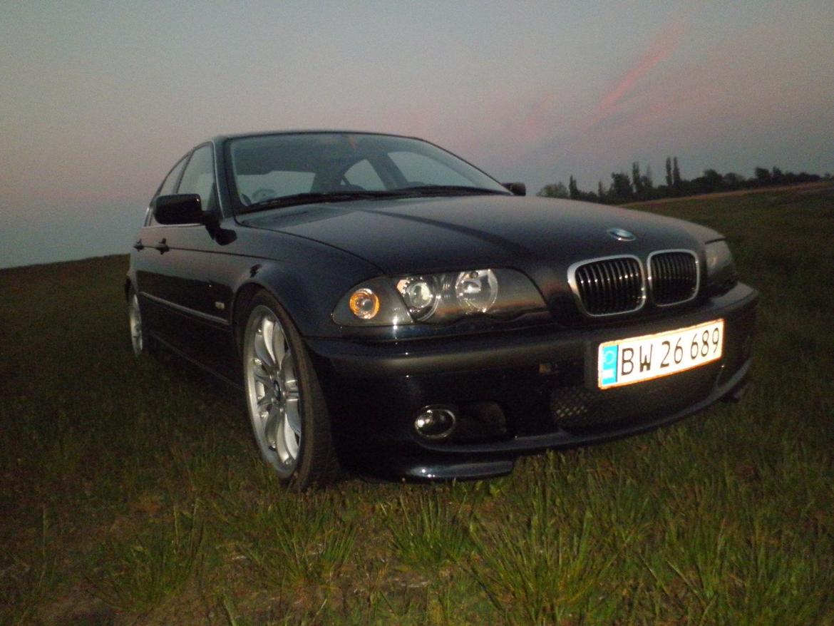 BMW e46 330d billede 8