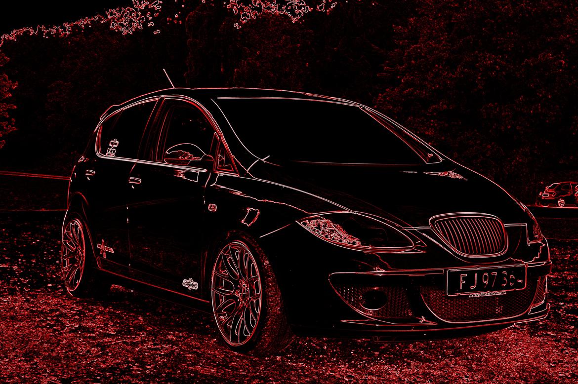 Seat Altea 1.9 TDI billede 1