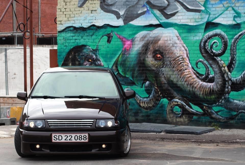 VW Polo 6N billede 4