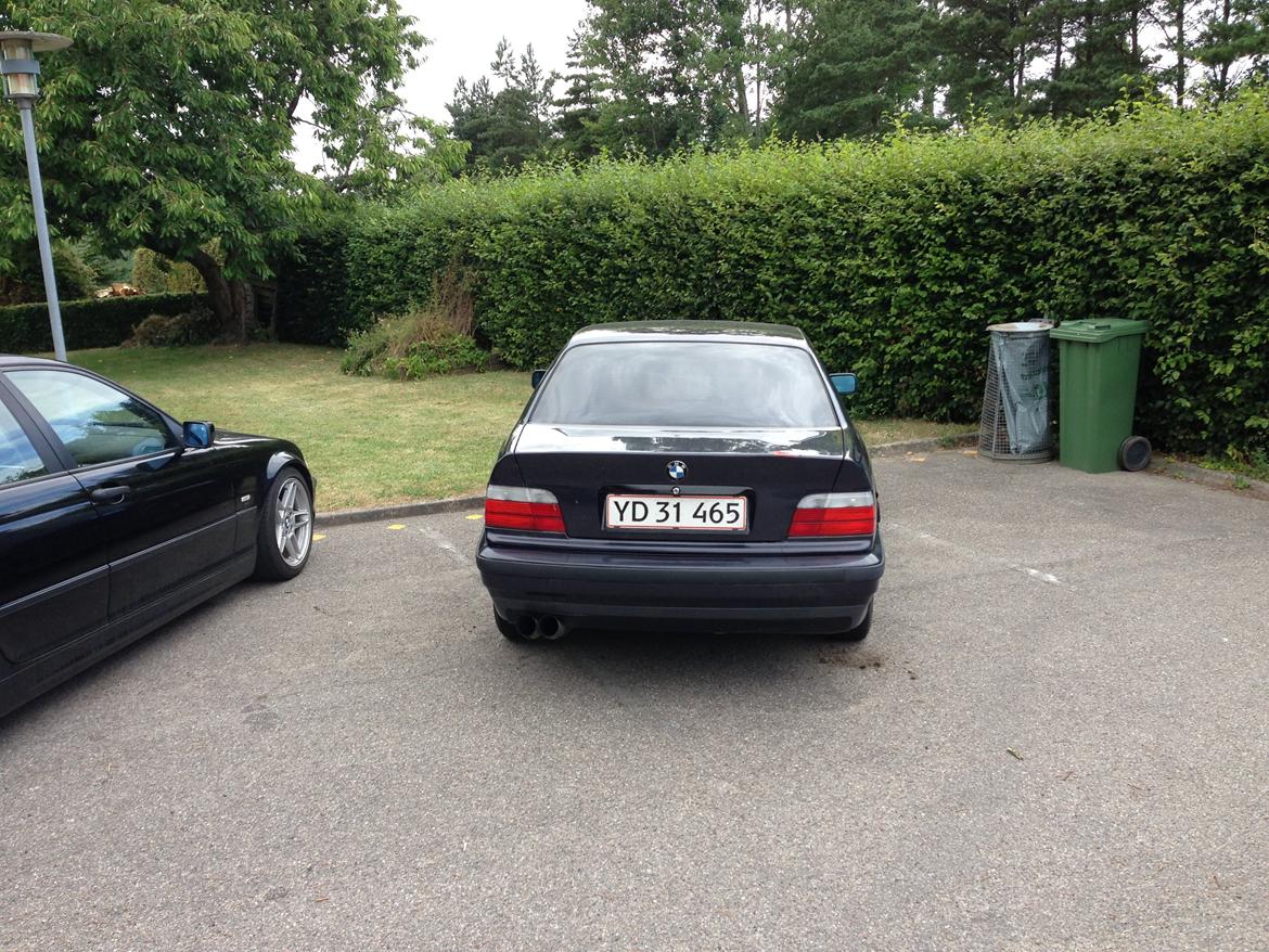 BMW E36 Coupe  billede 6