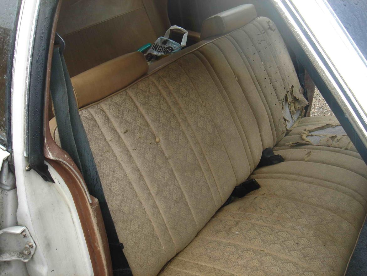 Ford Torino Wagon billede 20