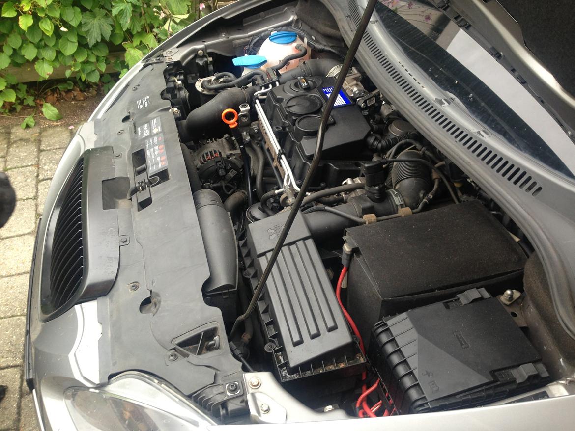 Seat Altea TDI billede 13