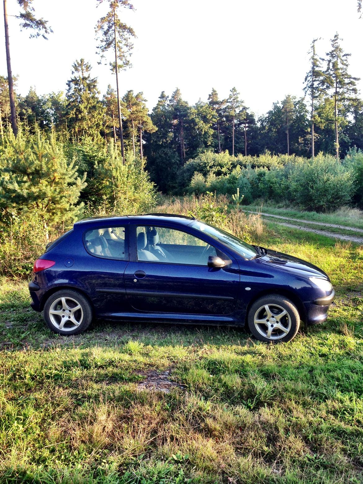 Peugeot 200 Sex billede 18