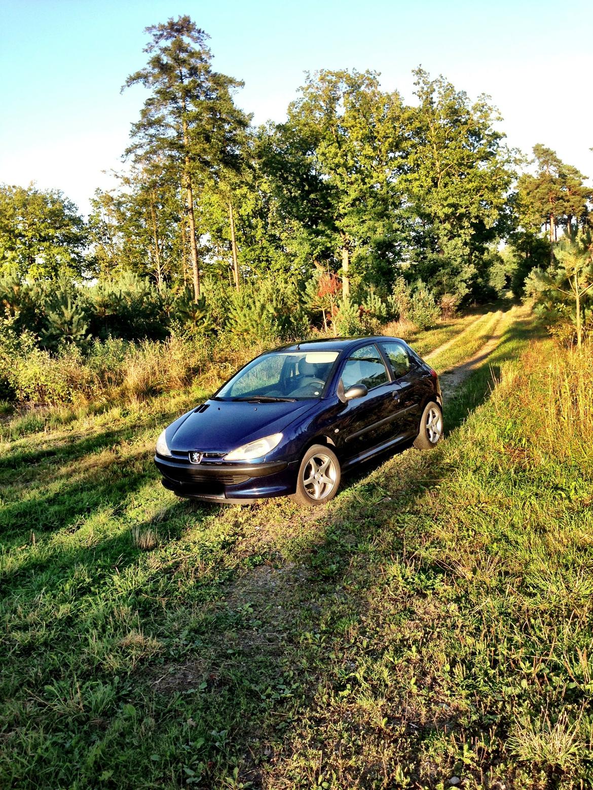Peugeot 200 Sex billede 17