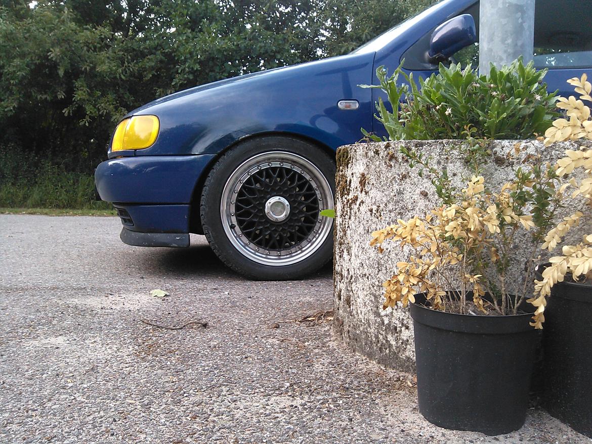 VW Polo 6n 1,4 8v billede 10