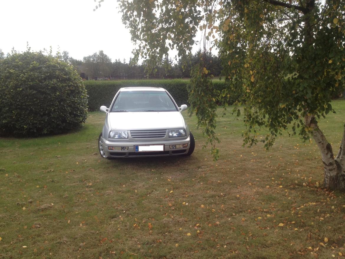 VW Vento 1.9 TD  billede 2