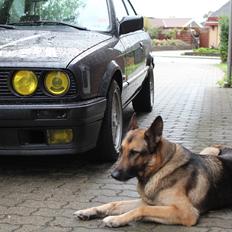 BMW E30 318i