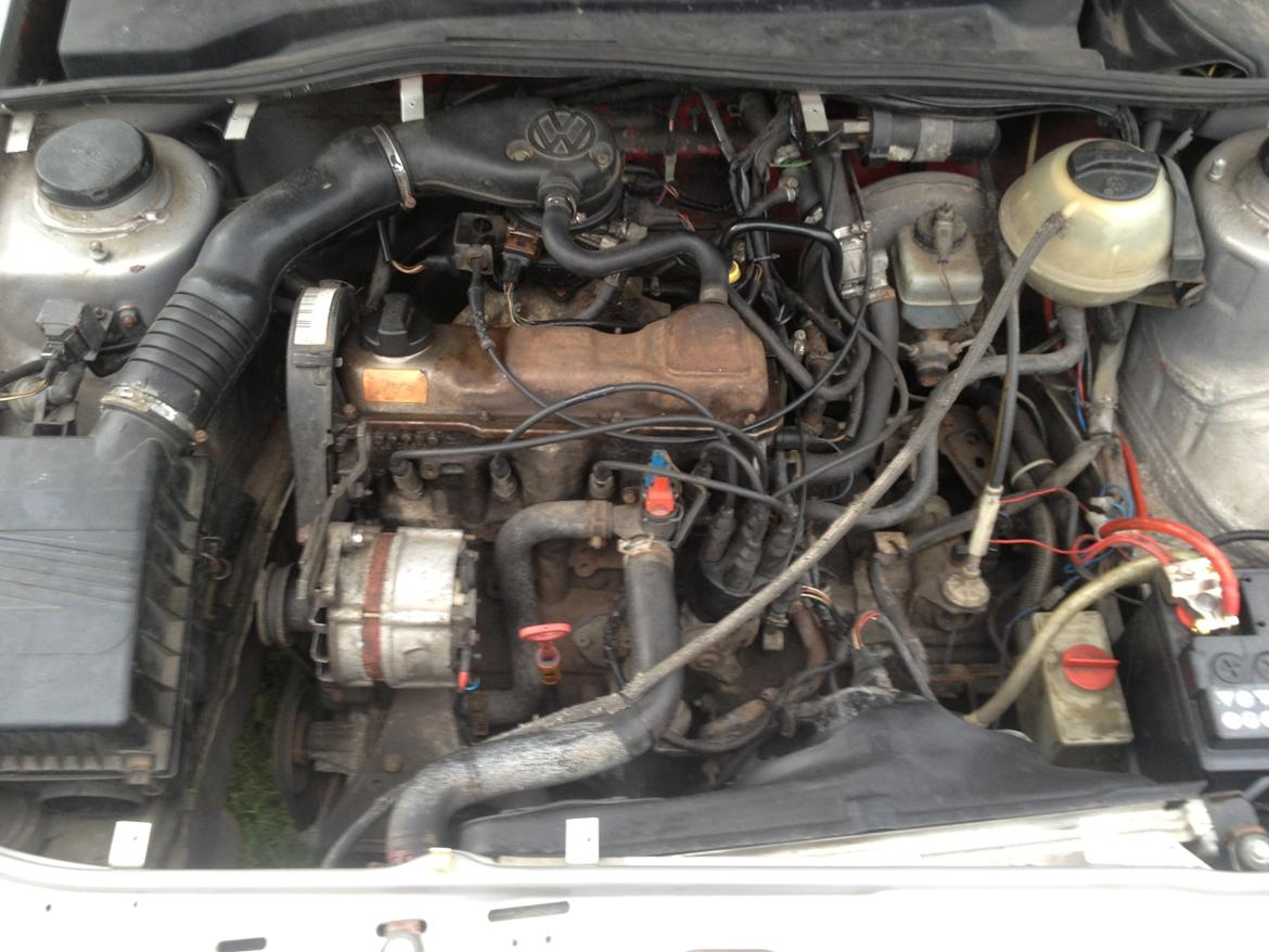 VW Golf II Shaved VAGina billede 12