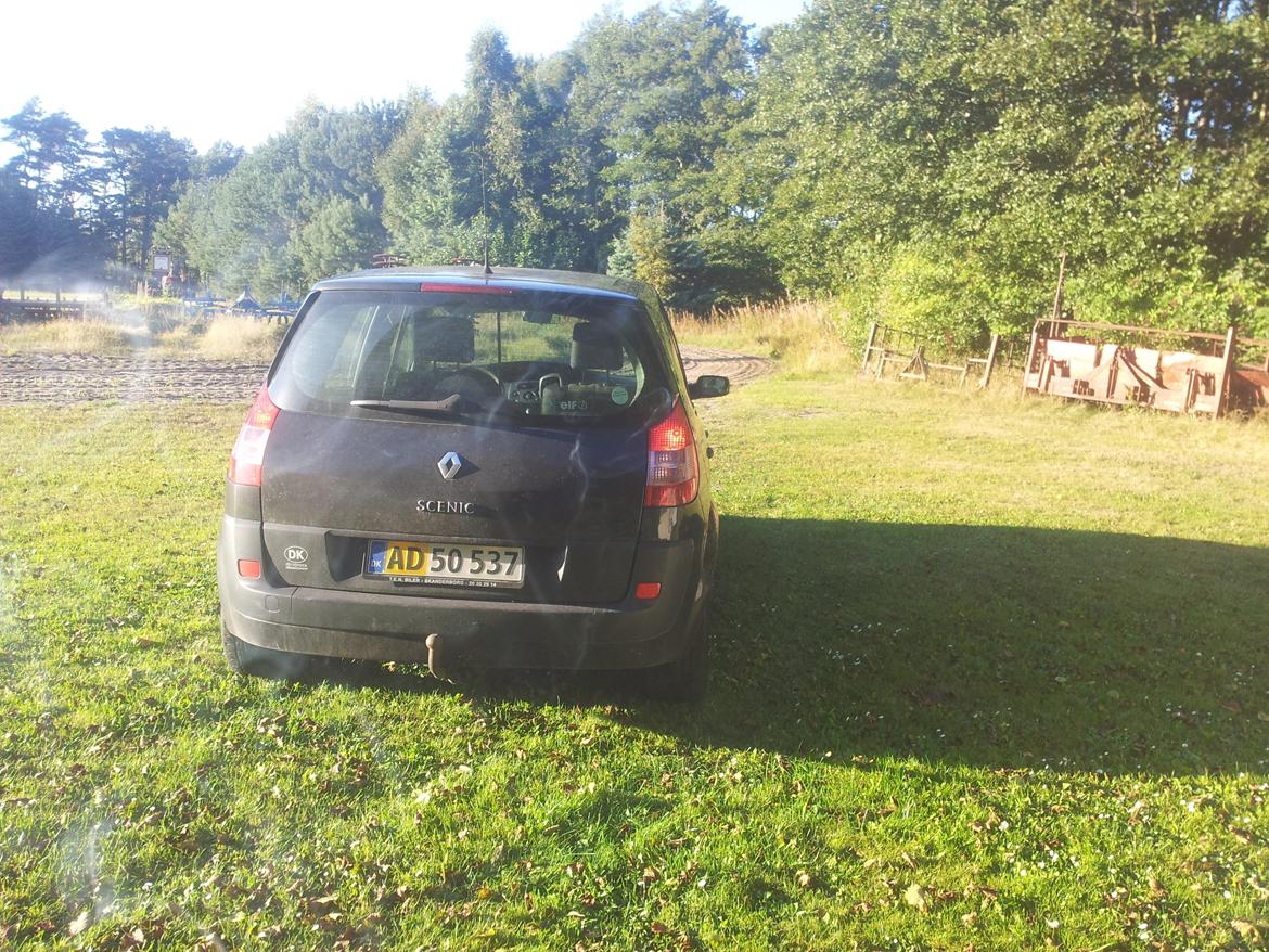 Renault Scenic ll 1,9 DCi Comfort Expression 120hk billede 7