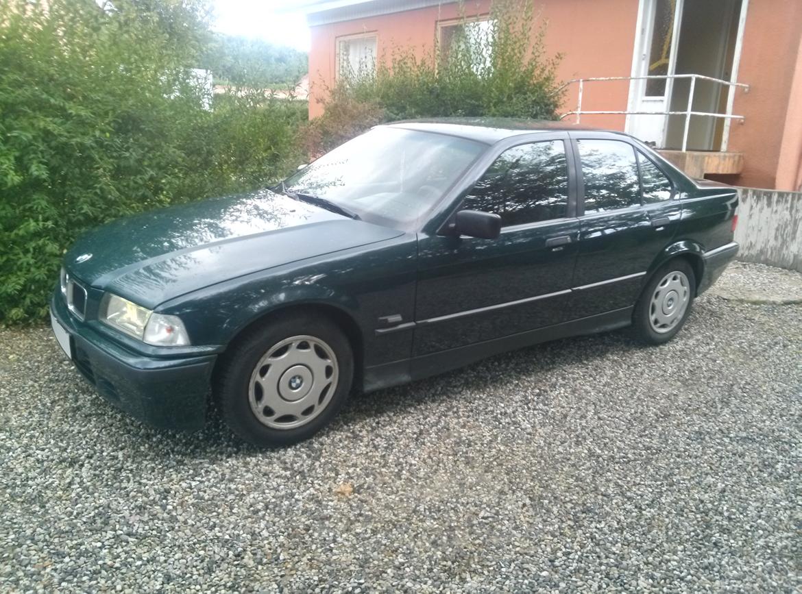 BMW 316i e36 Bavaria  [Tidl. bil] billede 1