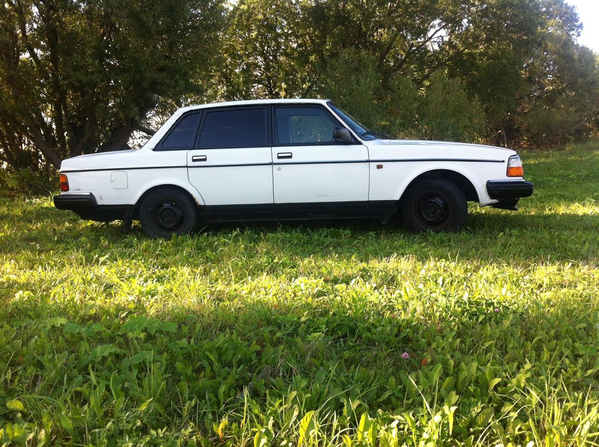 Volvo 240 GL [Tidl. bil] billede 1