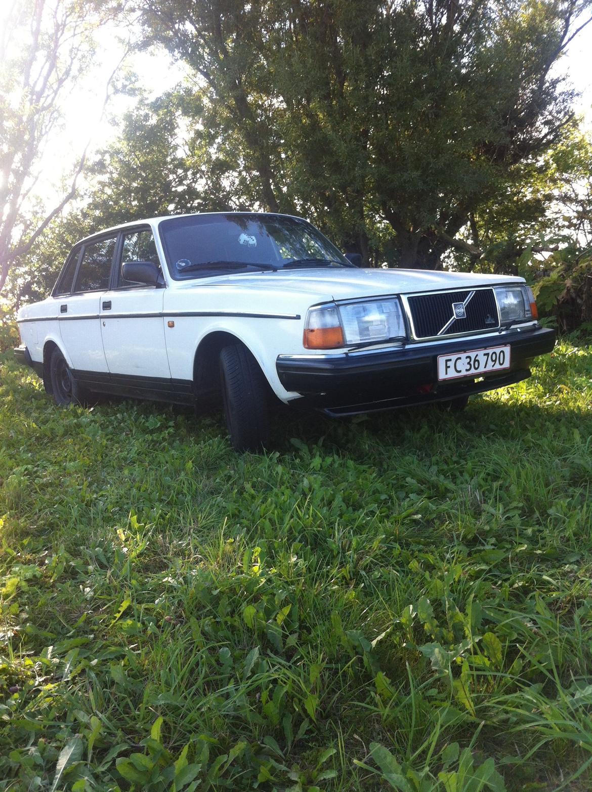 Volvo 240 GL [Tidl. bil] billede 8