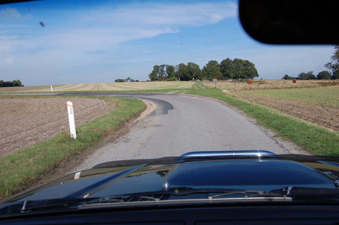 Nissan King-Cab 2,5TDI 4x4 (SOLGT) billede 22