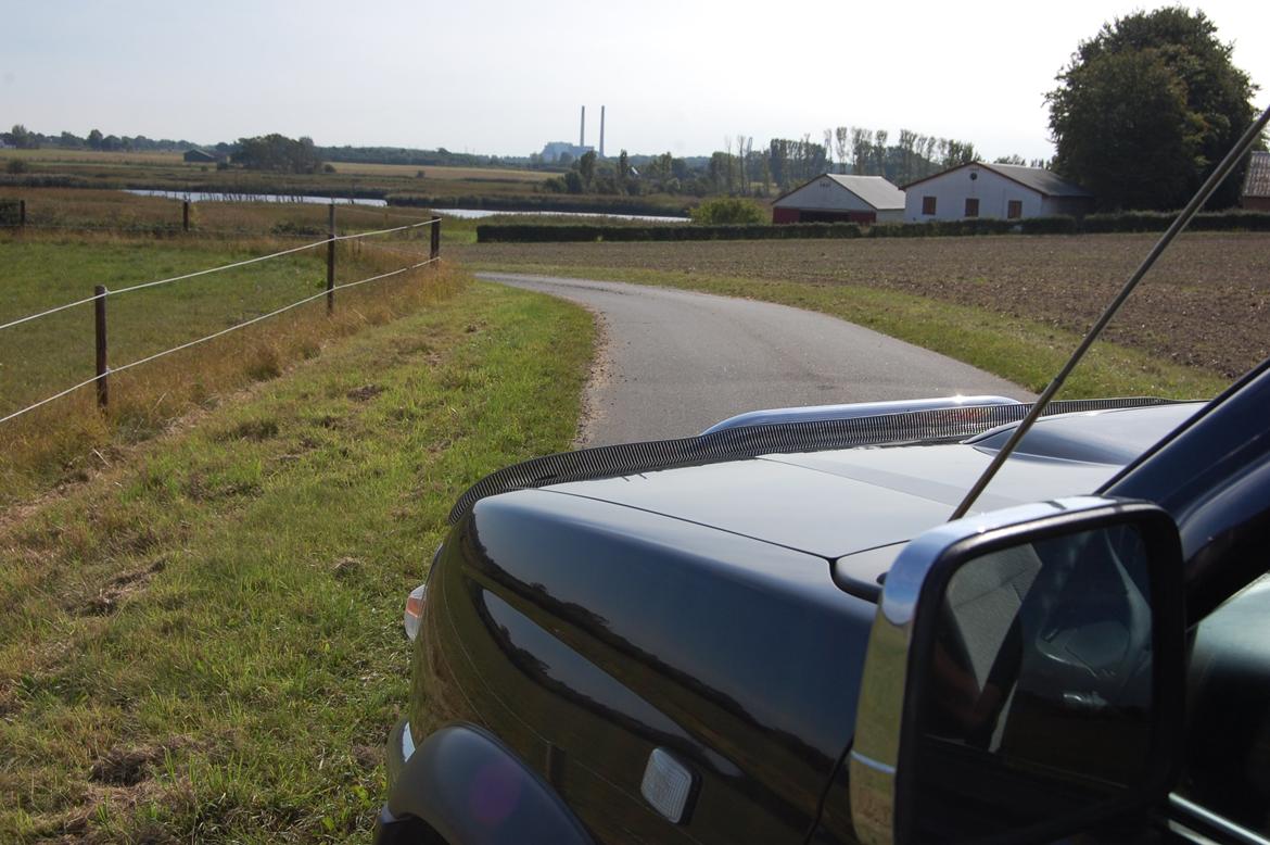 Nissan King-Cab 2,5TDI 4x4 (SOLGT) billede 40