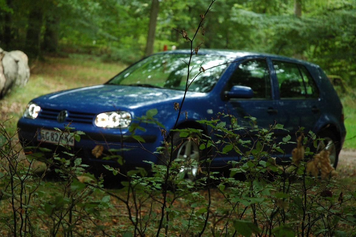 VW Golf IV billede 15